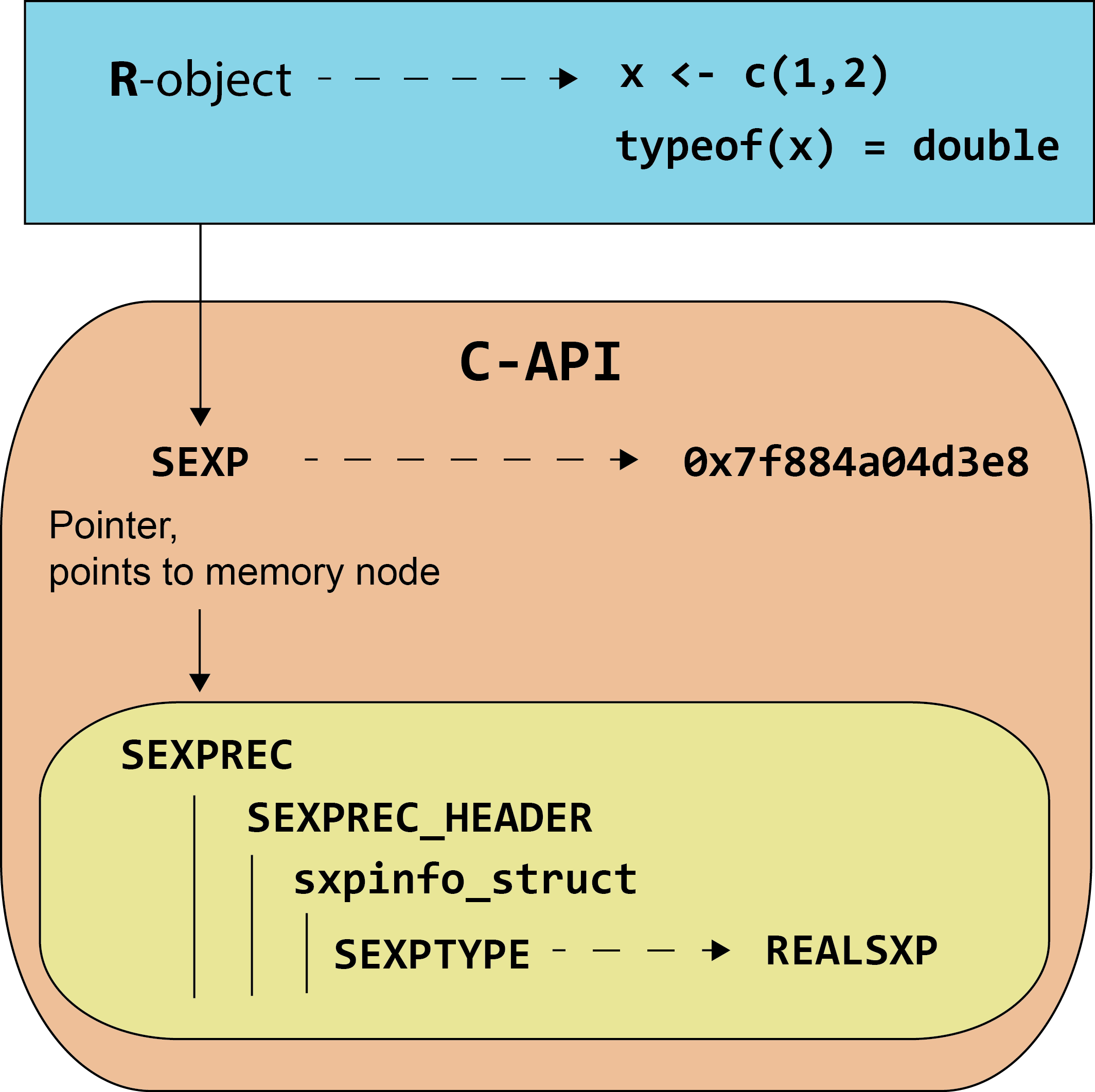 Relationship between **R** object base types and C-API processes. The **R** object `x` of base type `double` is created. In the **R** C-API, `x` is allocated to an `SEXP` pointer with address `0x7f884a04d3e8`. The `SEXP` points to an `SEXPREC` with the `SEXPTYPE`, `REALSXP`.